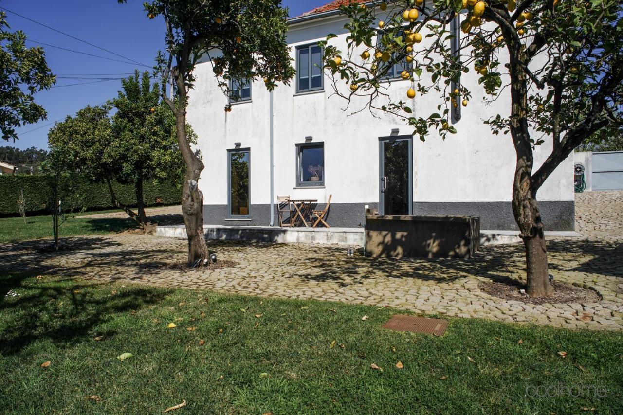 12 Casa D'Avo Villa Albergaria-a-Velha Exterior foto